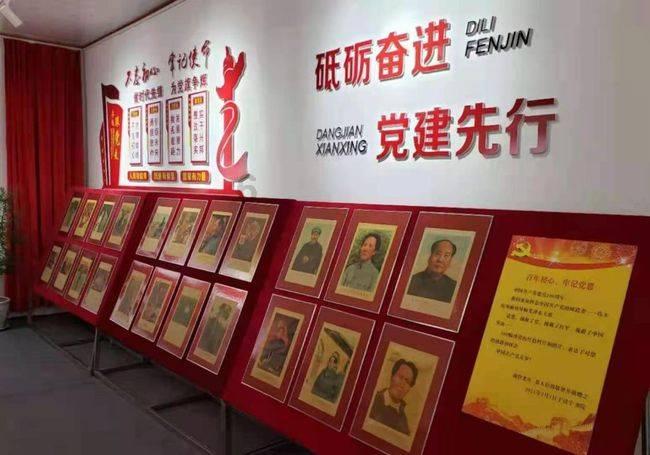 “快看，是黑脸琵鹭！”记者直击2024黑脸琵鹭全球同步普查启动